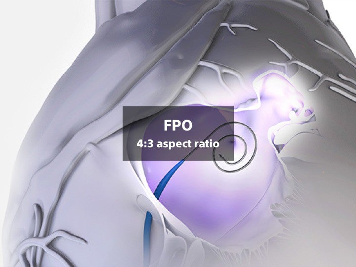 Alternative text for accessibility.