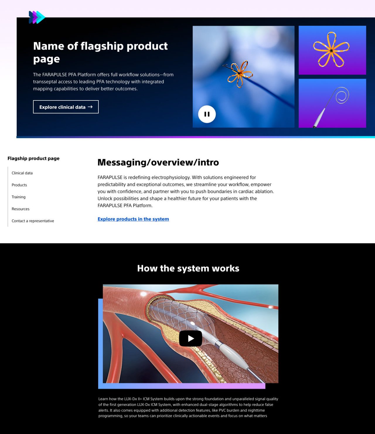 Flagship overview example.